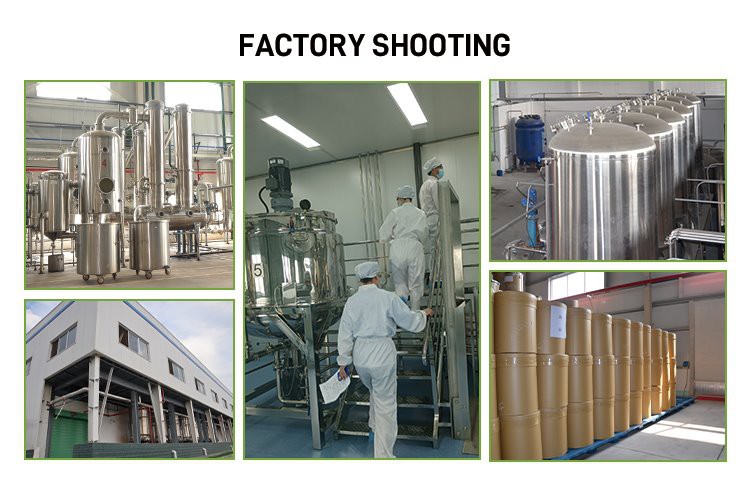 factory4
