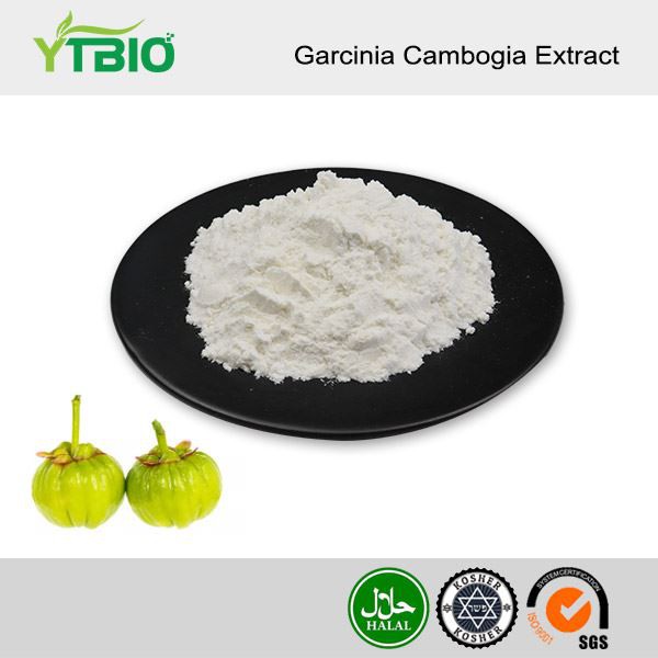 Extracte de Garcinia Cambogia en pols