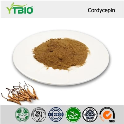 Cordycepin en pols