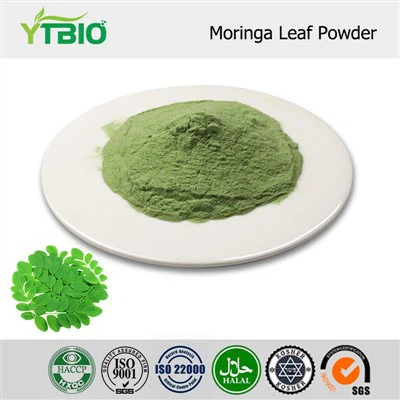 Fulla de Moringa en pols pura