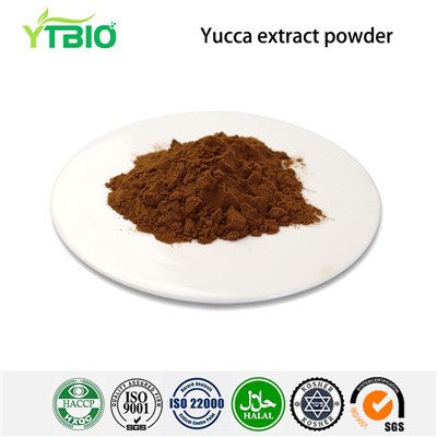 Extracte de Yucca en pols