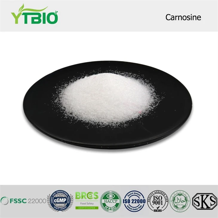 Carnosina