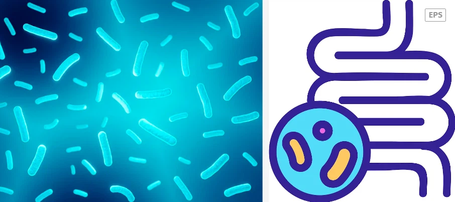 Probiotic Tablet Probiotic Tablet