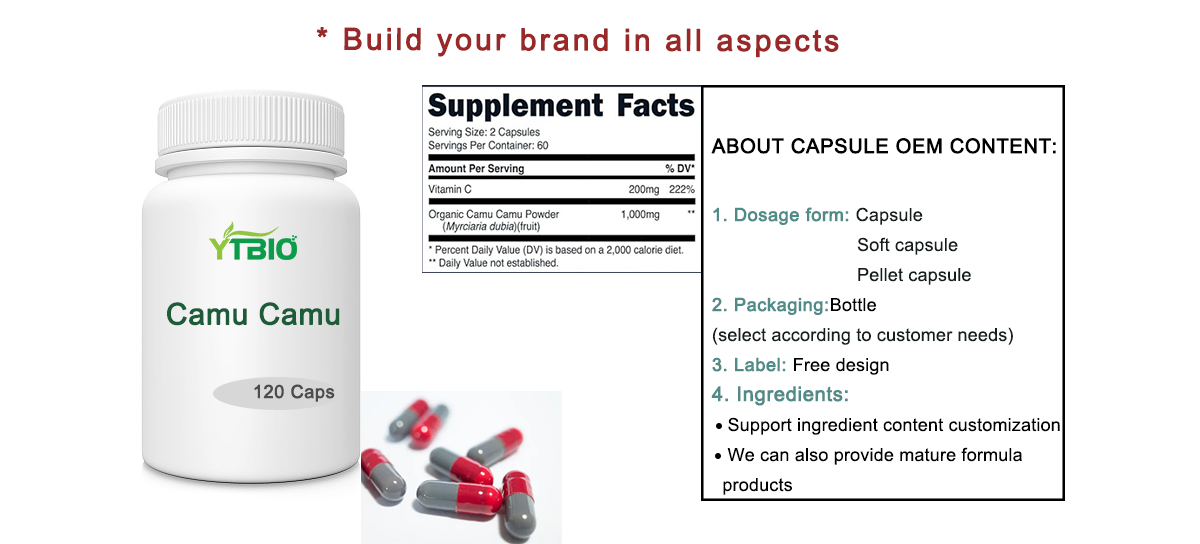 Bulk Camu Camu Powder Bulk Camu Camu Powder